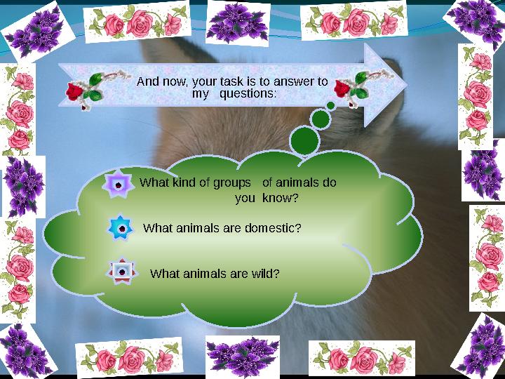 And now, your task is to answer to my questions: What kind of groups of animals do