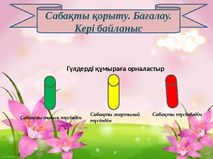 Сабақты қорыту. Бағалау. Кері байланыс Сабақты түсінбедімСабақты жартылай түсіндім Сабақты толық түсіндім Гүлдерді құмыраға орн