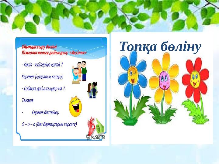 Топқа бөліну