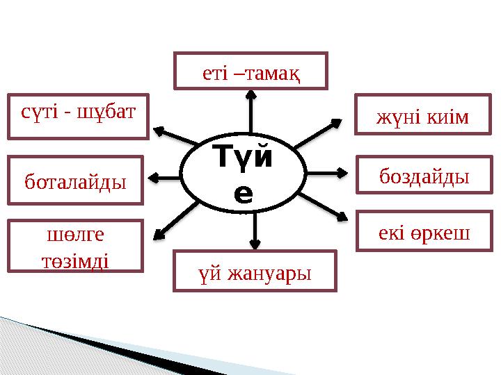 Түй ееті –тамақ жүні киім боздайды екі өркеш үй жануарысүті - шұбат шөлге төзімдіботалайды