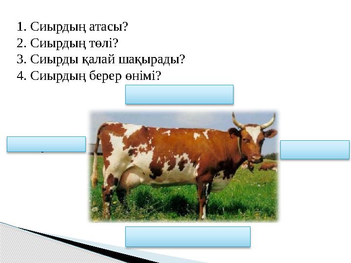 1. Сиырдың атасы? 2. Сиырдың төлі? 3. Сиырды қалай шақырады? 4. Сиырдың берер өнімі? 2 . Бұзау1. Зеңгібаба 3. Әукім, әукім! 4.