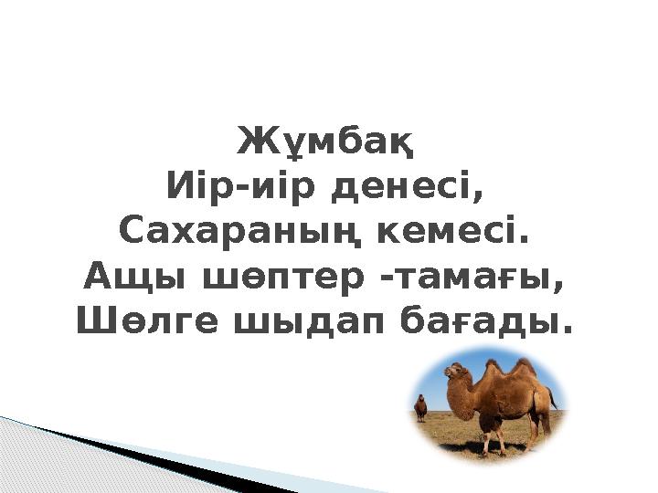 Жұмбақ Иір-иір денесі, Сахараның кемесі. Ащы шөптер -тамағы, Шөлге шыдап бағады.