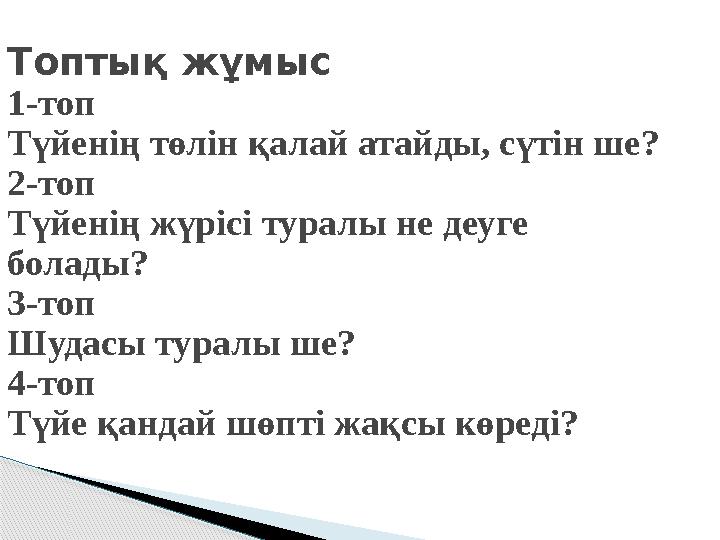 Топтық жұмыс 1-топ Түйенің төлін қалай атайды, сүтін ше? 2-топ Түйенің жүрісі туралы не деуге болады? 3-топ Шудасы туралы ше? 4