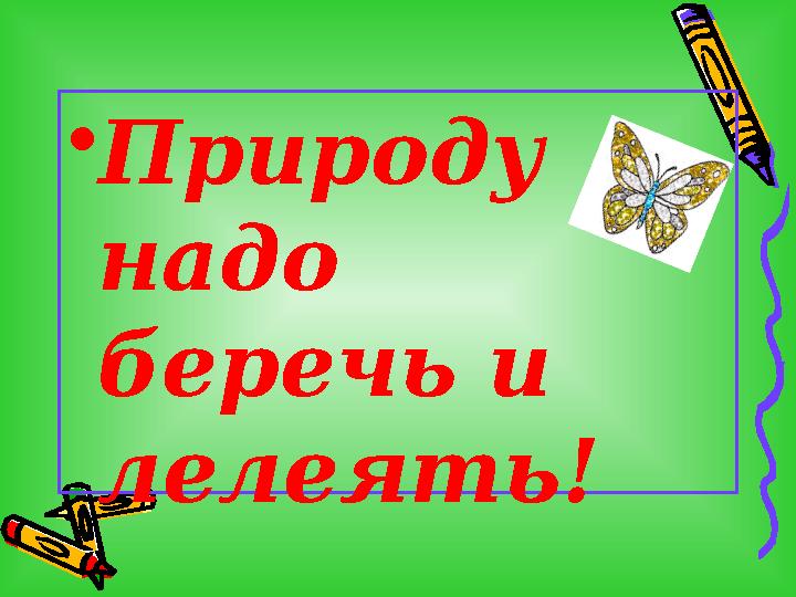 •Природу надо беречь и лелеять!
