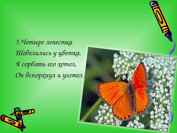 3.Четыре лепестка Шевелились у цветка. Я сорвать его хотел, Он вспорхнул и улетел.