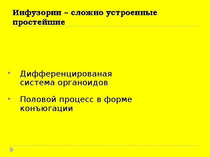 Инфузории – сложно устроенные простейшие •Дифференцированая система органоидов •Половой процесс в форме конъюгации