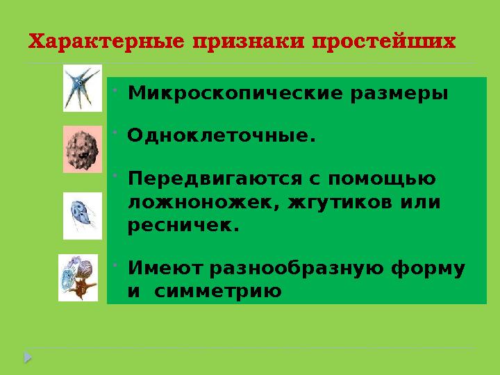 Характерные признаки простейших •Микроскопические размеры •Одноклеточные. •Передвигаются с помощью ложноножек, жгутиков или р