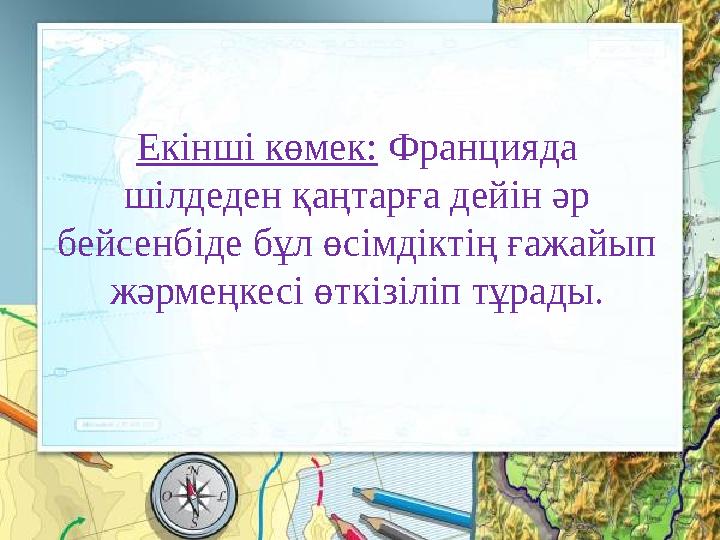 Екінші көмек: Францияда шілдеден қаңтарға дейін әр бейсенбіде бұл өсімдіктің ғажайып жәрмеңкесі өткізіліп тұрады.