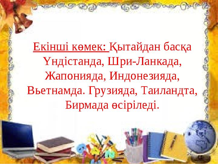 Екінші көмек: Қытайдан басқа Үндістанда, Шри-Ланкада, Жапонияда, Индонезияда, Вьетнамда. Грузияда, Таиландта, Бирмада өсірі