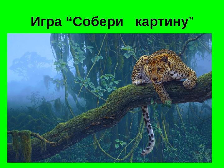 Игра “Собери картину”
