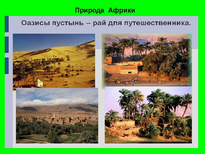 Природа Африки