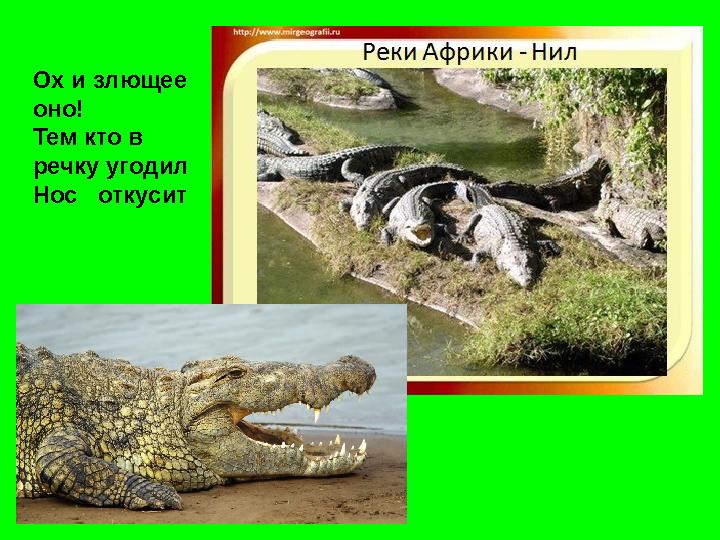 Ох и злющее оно! Тем кто в речку угодил Нос откусит