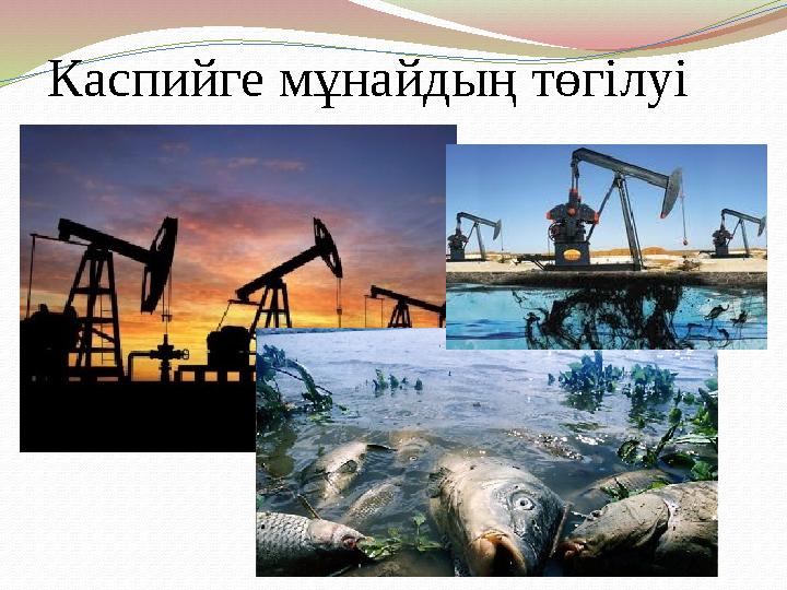 Каспийге мұнайдың төгілуі