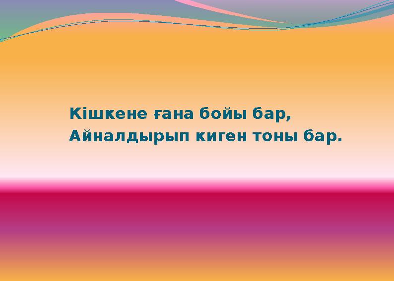 Кішкене ғана бойы бар, Айналдырып киген тоны бар.