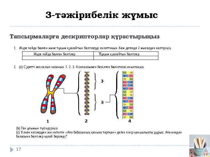 Тапсырмаларға дескрипторлар құрастырыңыз 1.Жүре пайда болған және тұқым қуалайтын белгілерді сипаттаңыз. Кем дегенде 2 мысалдан