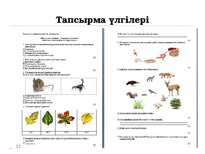 Тапсырма үлгілері 22