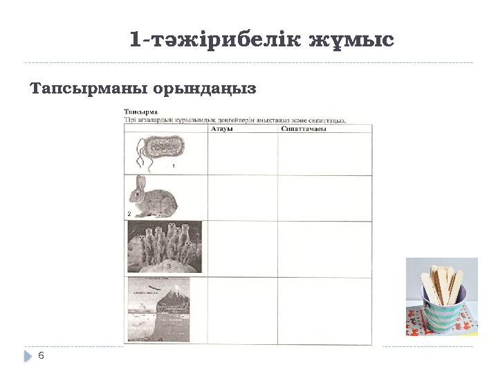 Тапсырманы орындаңыз 1-тәжірибелік жұмыс 6
