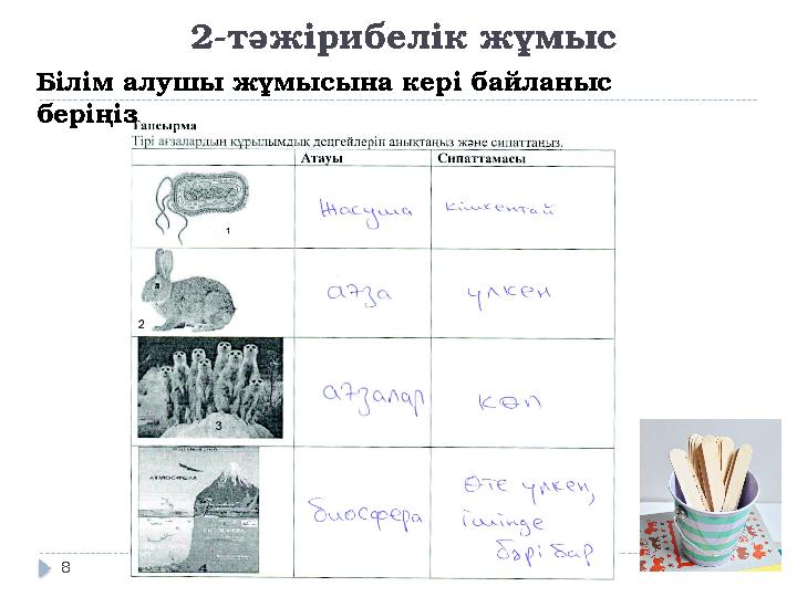 2-тәжірибелік жұмыс Білім алушы жұмысына кері байланыс беріңіз 8