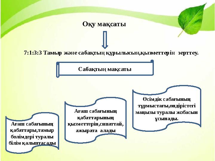 Оқу мақсаты 7:1:3:3 Тамыр және сабақтың құрылысын,қызметтерін зерттеу. Сабақтың мақсаты : Ағаш сабағының қабаттары,тамыр бөлі