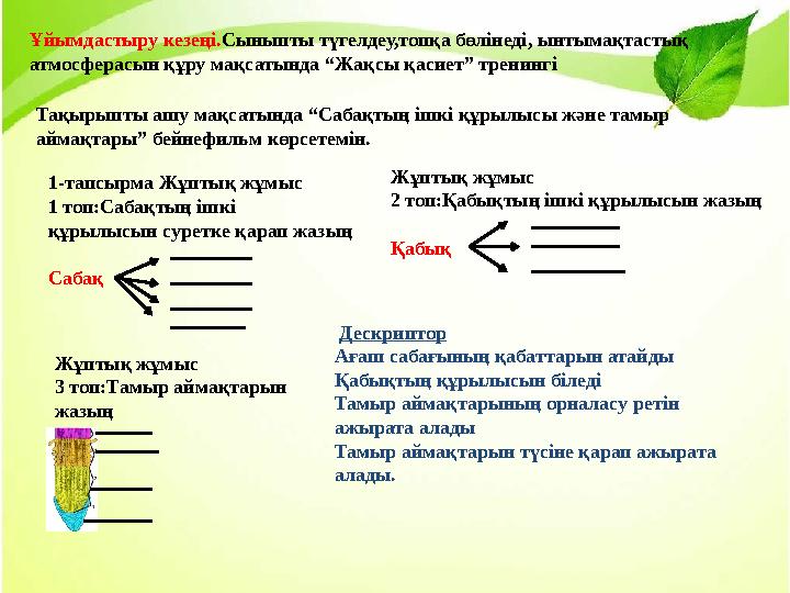 Ұйымдастыру кезеңі. Сыныпты түгелдеу,топқа бөлінеді, ынтымақтастық атмосферасын құру мақсатында “Жақсы қасиет” тренингі Тақыр