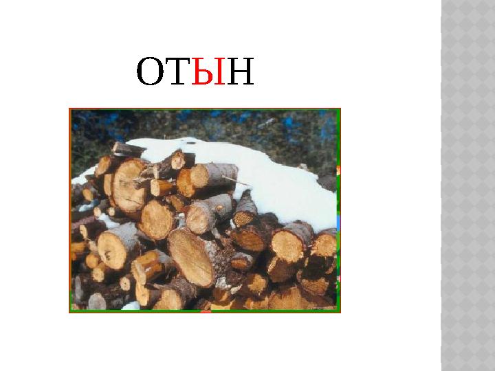 ОТЫН