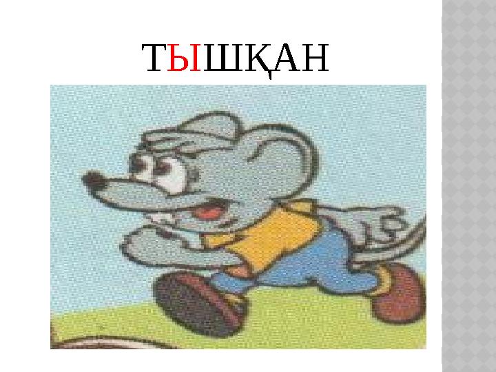 ТЫШҚАН