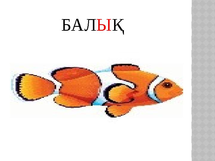 БАЛЫҚ