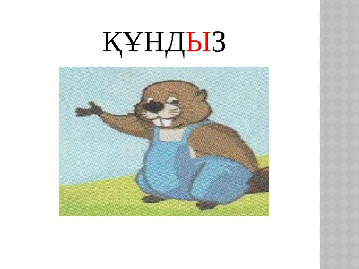 ҚҰНДЫЗ