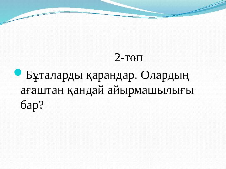 2-топ Бұталарды қарандар. Олардың ағаштан қандай айырмашылығы бар?