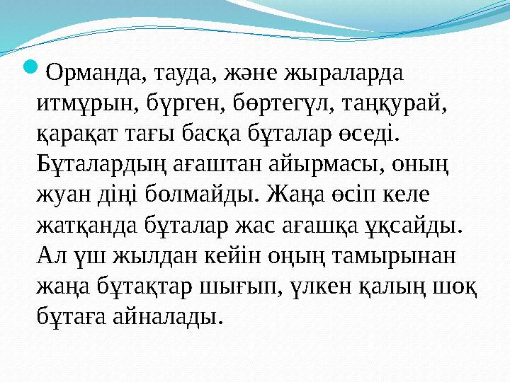 Орманда, тауда, және жыраларда итмұрын, бүрген, бөртегүл, таңқурай, қарақат тағы басқа бұталар өседі. Бұталардың ағаштан айы