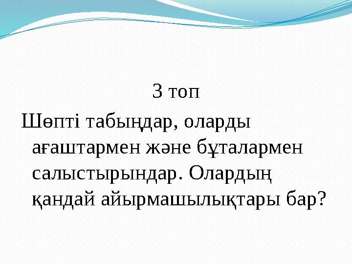 3 топ Шөпті табыңдар, оларды ағаштармен және бұталармен салыстырындар. Олардың қандай айырмашылықтары бар?