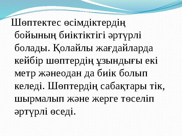 Шөптектес өсімдіктердің бойының биіктіктігі әртүрлі болады. Қолайлы жағдайларда кейбір шөптердің ұзындығы екі метр жәнеодан