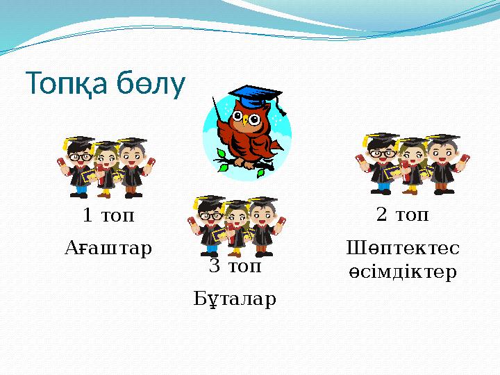 Топқа бөлу 1 топ Ағаштар 2 топ Шөптектес өсімдіктер 3 топ Бұталар