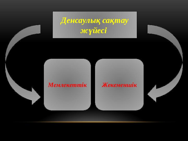 Денсаулық сақтау жүйесі Мемлекеттік Жекеменшік
