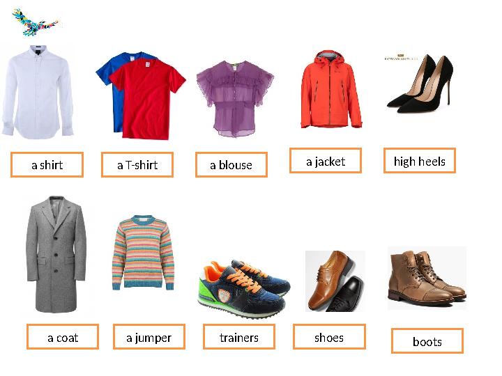 a shirt a jumpera coat a jacket a blousea T-shirt shoestrainers boots high heels