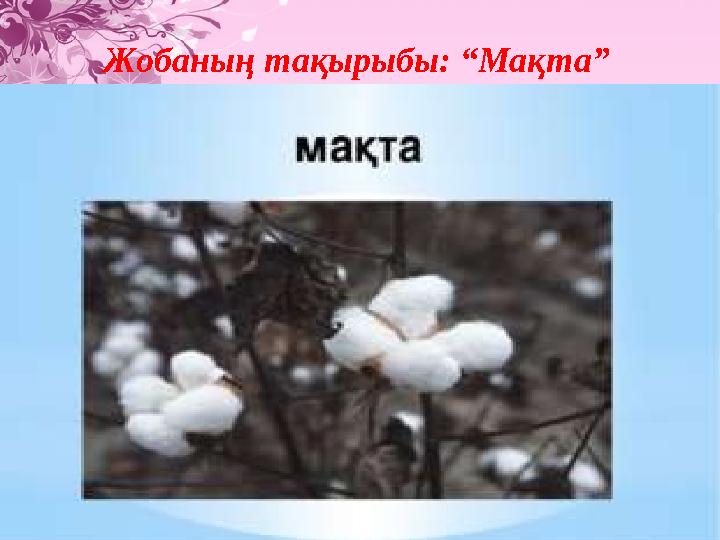 img_page_1