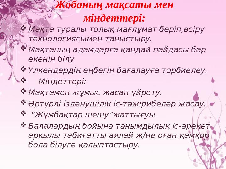 Жобаның мақсаты мен міндеттері: Мақта туралы толық мағлұмат беріп,өсіру технологиясымен таныстыру. Мақтаның адамдарға қандай Жобаның мақсаты мен міндеттері: Мақта туралы толық мағлұмат беріп,өсіру технологиясымен таныстыру. Мақтаның адамдарға қандай