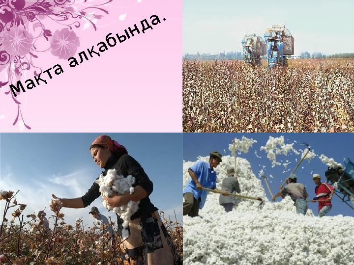 М ақта алқабы нда. М ақта алқабы нда.