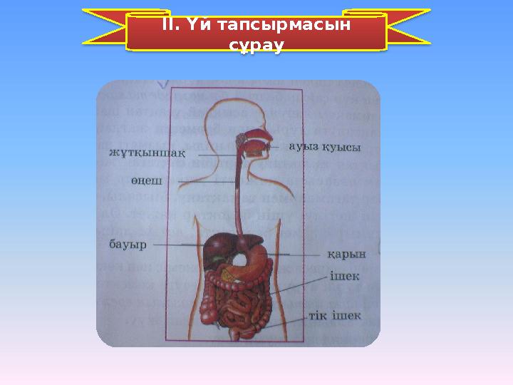 ІІ. Үй тапсырмасын сұрау