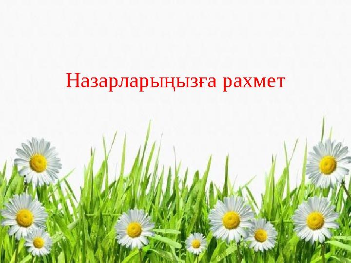 Назарларыңызға рахмет