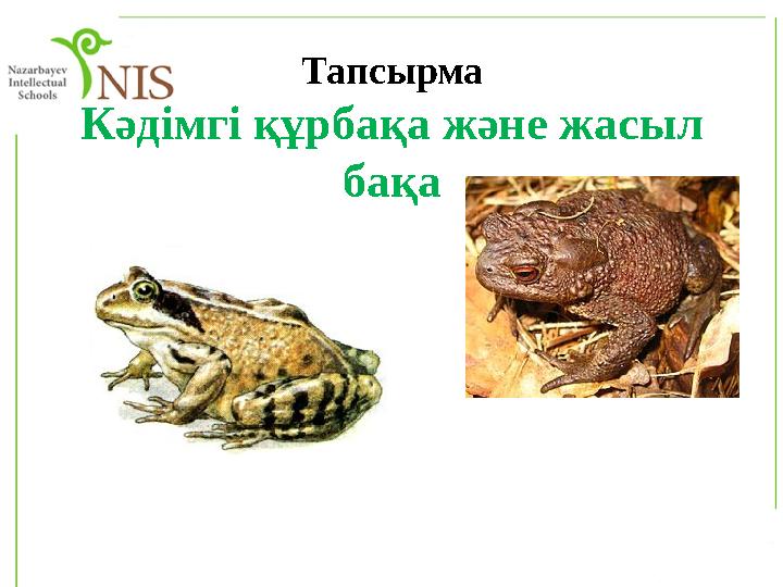 Тапсырма Кәдімгі құрбақа және жасыл бақа