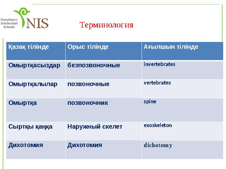 Терминология Қазақ тілінде Орыс тілінде Ағылшын тілінде Омыртқасыздар безпозвоночные invertebrates Омыртқалылар позвоночные v