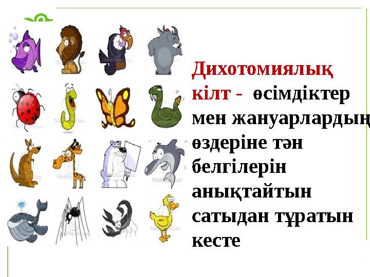 Дихотомиялық кілт - өсімдіктер мен жануарлардың өздеріне тән белгілерін анықтайтын сатыдан тұратын кесте