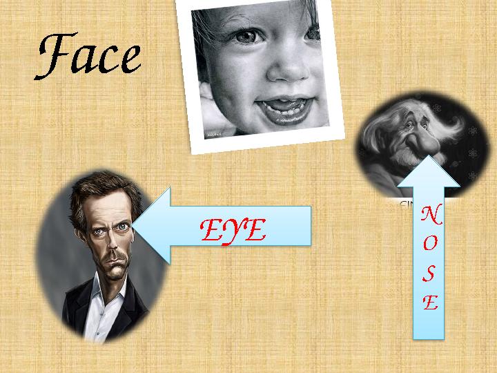 Face EYE N O S E