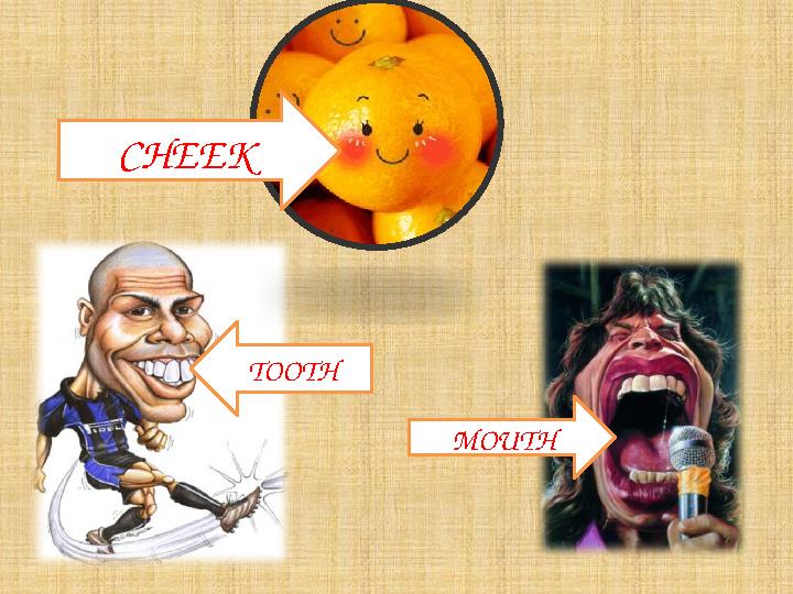 CHEEK TOOTH MOUTH
