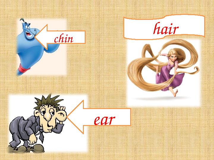 chin hair ear