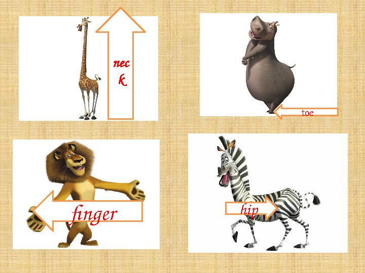 nec k finger toe hip