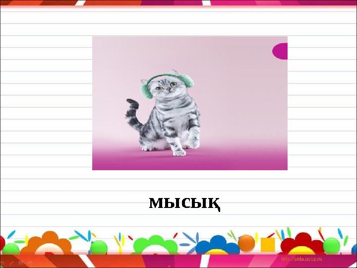 мысық