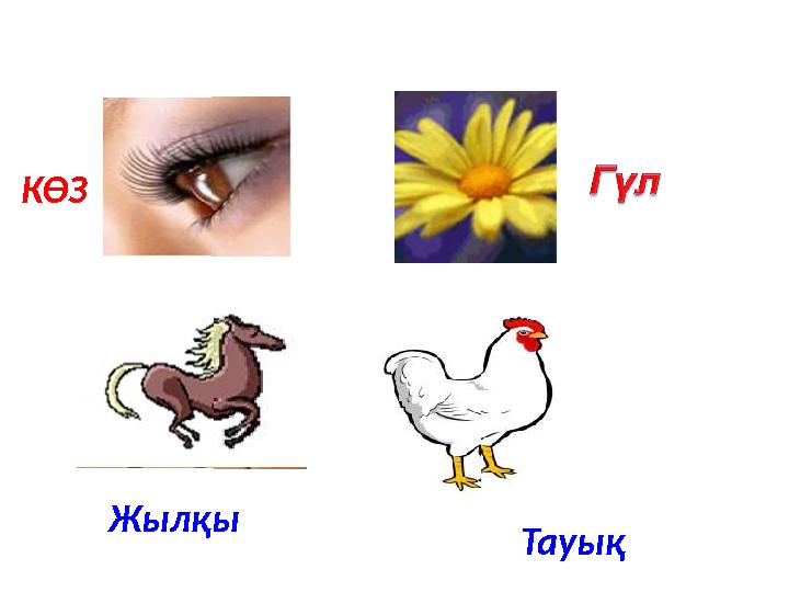 КӨЗ Жылқы Тауық