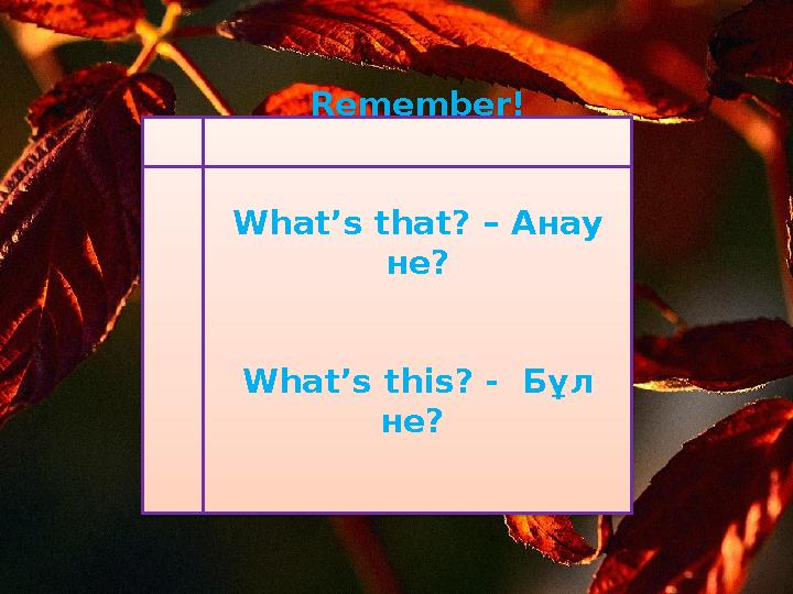 Remember! What’s that? – Анау не? What’s this? - Бұл не?